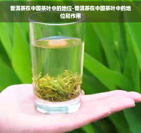 普洱茶在中国茶叶中的地位-普洱茶在中国茶叶中的地位和作用(图1)