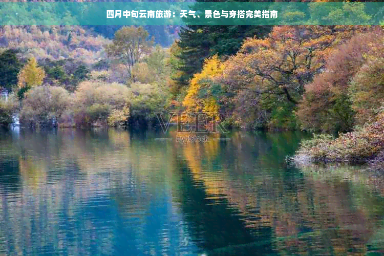 小白使用代理ip教程视频