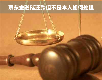 momo的whatsapp账号