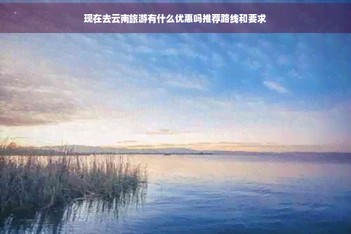 现在去云南旅游有什么优惠吗推荐路线和要求