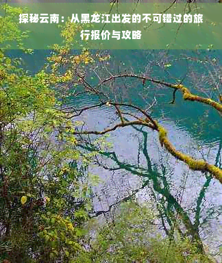 探秘云南：从黑龙江出发的不可错过的旅行报价与攻略