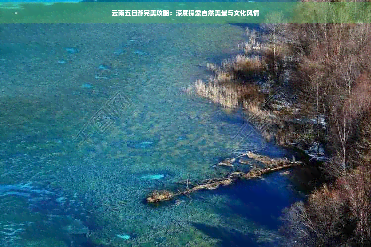 云南五日游完美攻略：深度探索自然美景与文化风情