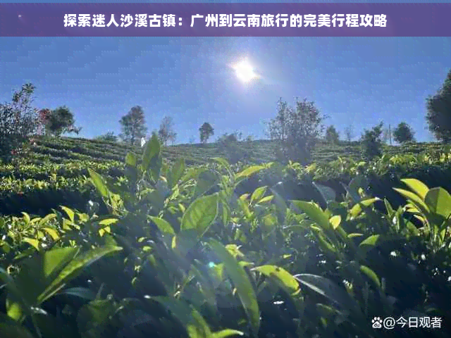 探索迷人沙溪古镇：广州到云南旅行的完美行程攻略