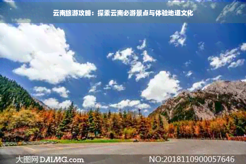 云南旅游攻略：探索云南必游景点与体验地道文化