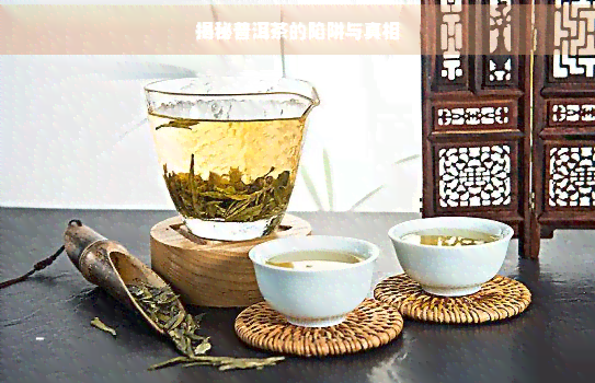 JN江南体育揭秘普洱茶的陷阱与(图1)