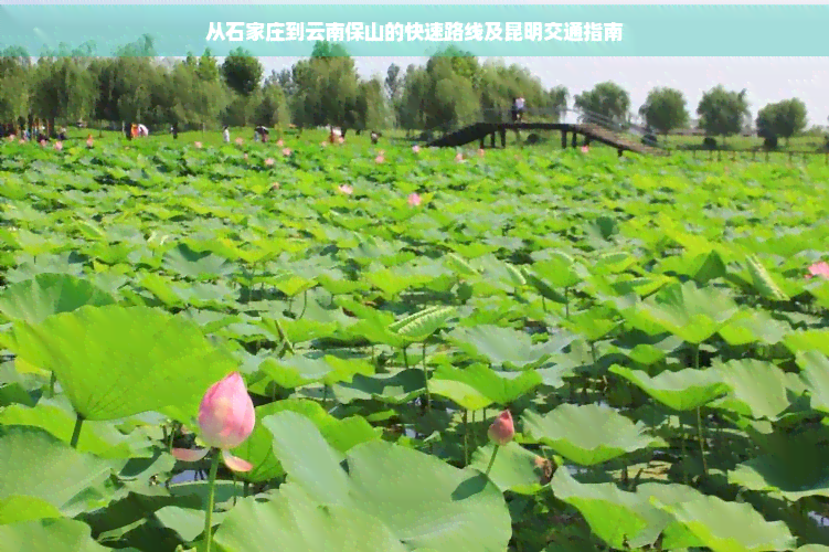 从石家庄到云南保山的快速路线及昆明交通指南