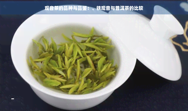 观音茶的品种与品鉴：、铁观音与普洱茶的比较