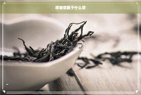 观音茶属于什么茶