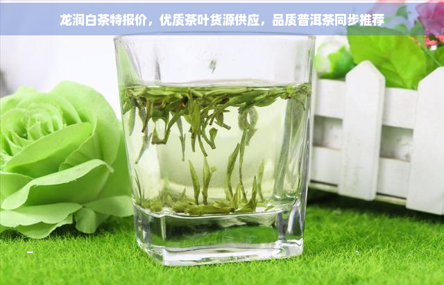 龙润茶晓白图片