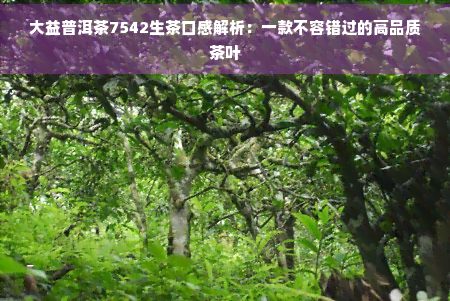 普洱茶叶堵在下水道（普洱茶叶堵在下水道上怎么办） 普洱茶叶堵在下水道（普洱茶叶堵在下水道上怎么办）《普洱茶沾水了怎么办》 茶叶资讯