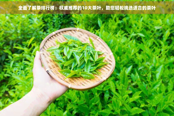 全面了解茶排行榜：权威推荐的10大茶叶助您轻松挑选适合的茶万金体育网址叶(图1)