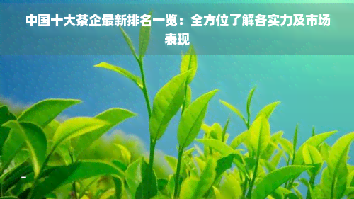 中国十大茶企泛亚电竞平台(图7)