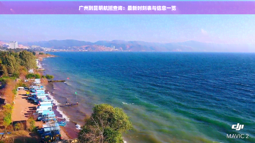 抖音代理ip地址怎么设置
