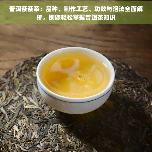 普洱茶有几大系  第3张